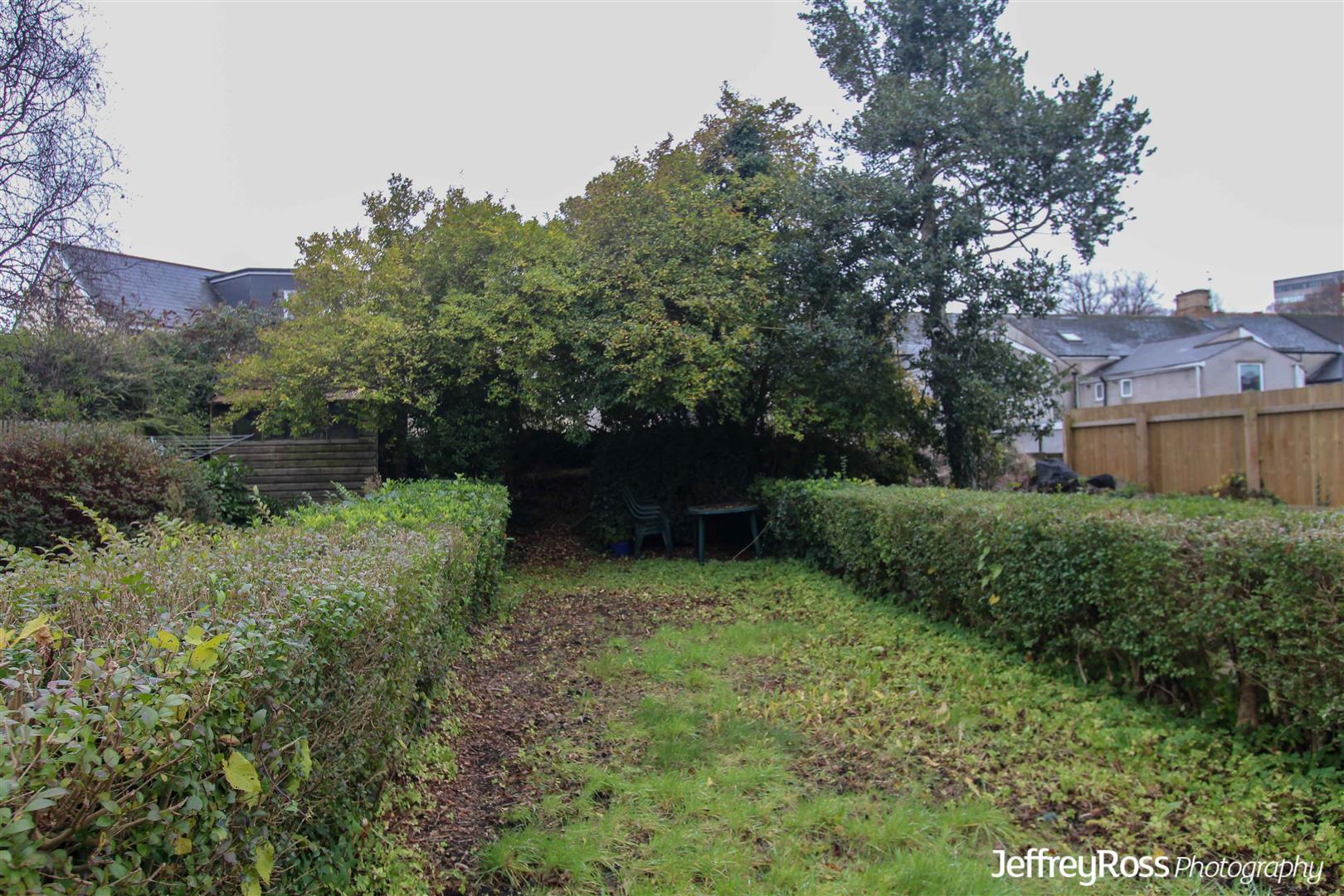 Wyeverne Road, Cathays — photograph 9